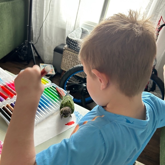 2+ items = 15% off ๐ฉท๐ Welcome !!! - Picture 3 of 12